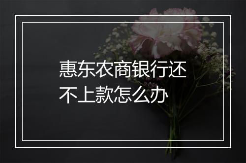 惠东农商银行还不上款怎么办