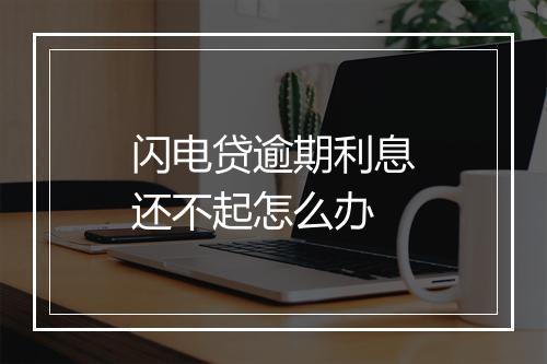 闪电贷逾期利息还不起怎么办