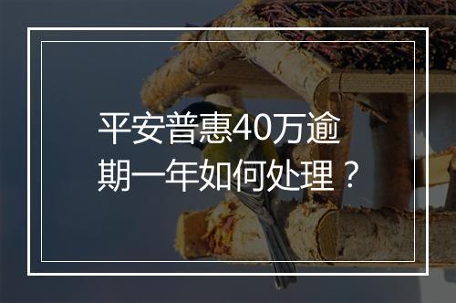 平安普惠40万逾期一年如何处理？