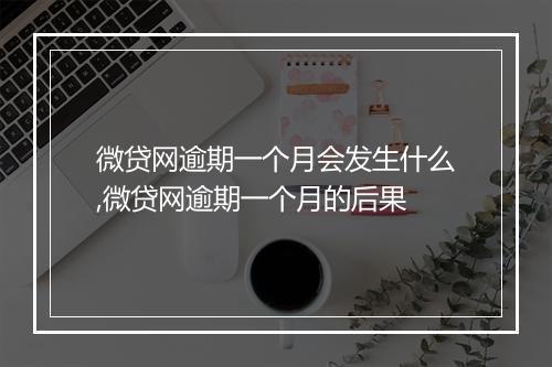 微贷网逾期一个月会发生什么,微贷网逾期一个月的后果