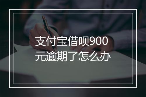 支付宝借呗900元逾期了怎么办