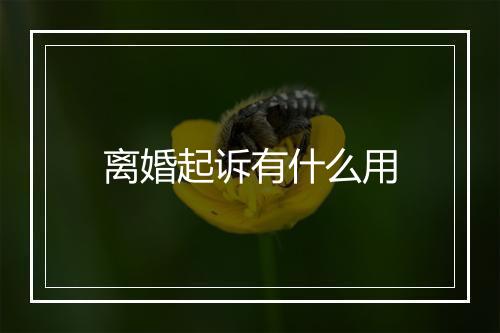 离婚起诉有什么用