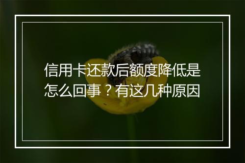 信用卡还款后额度降低是怎么回事？有这几种原因