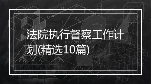 法院执行督察工作计划(精选10篇)