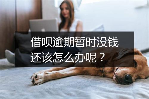 借呗逾期暂时没钱还该怎么办呢？