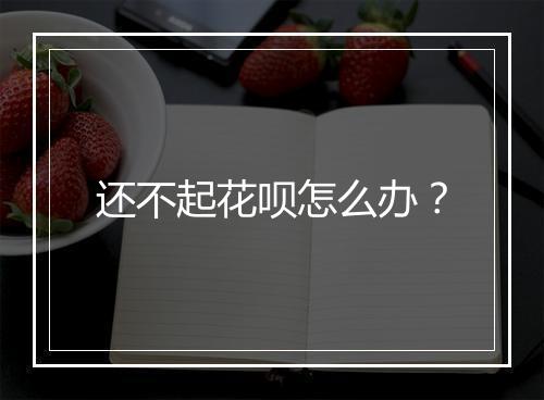 还不起花呗怎么办？