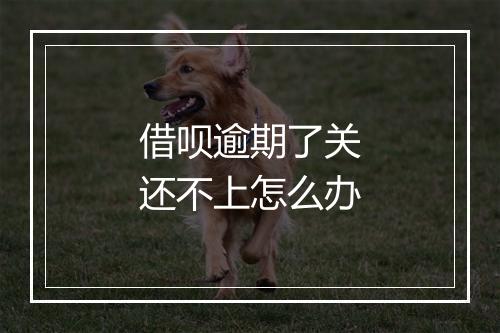 借呗逾期了关还不上怎么办