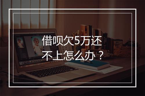 借呗欠5万还不上怎么办？