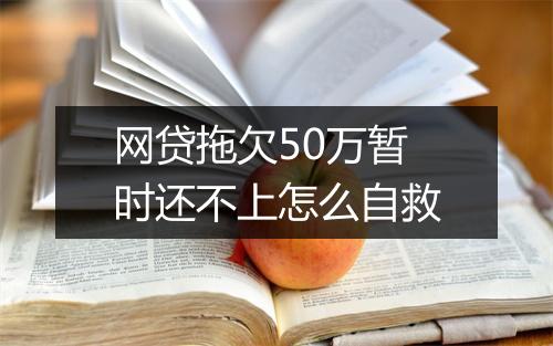 网贷拖欠50万暂时还不上怎么自救