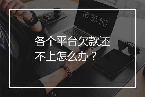 各个平台欠款还不上怎么办？