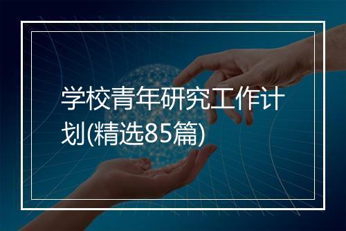 学校青年研究工作计划(精选85篇)
