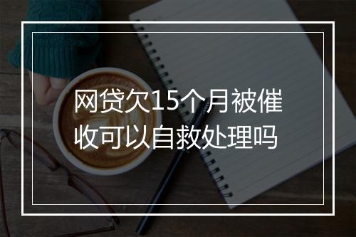 网贷欠15个月被催收可以自救处理吗