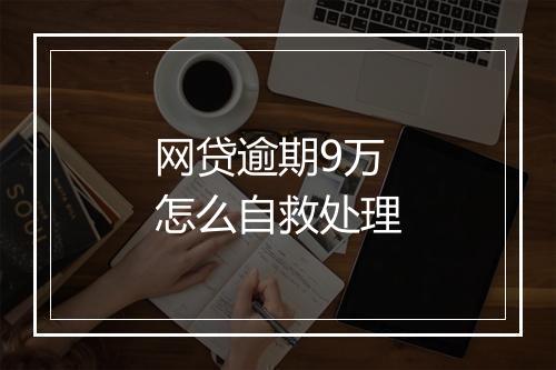 网贷逾期9万怎么自救处理