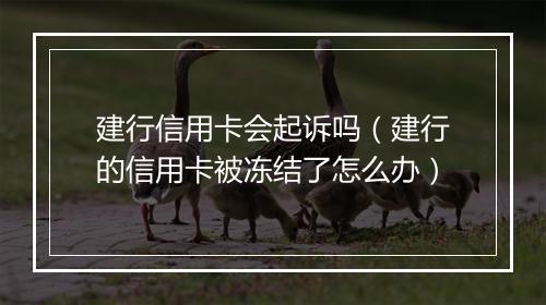 建行信用卡会起诉吗（建行的信用卡被冻结了怎么办）