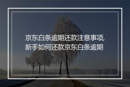 京东白条逾期还款注意事项,新手如何还款京东白条逾期