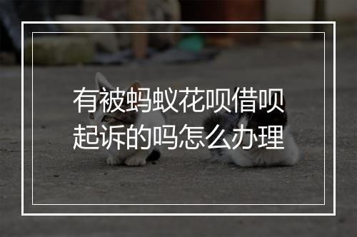 有被蚂蚁花呗借呗起诉的吗怎么办理