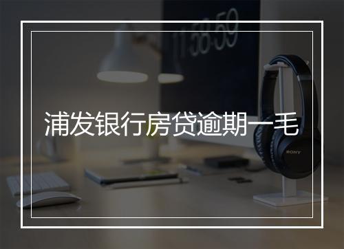 浦发银行房贷逾期一毛