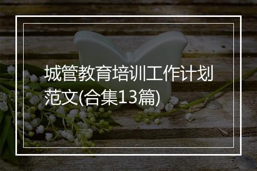 城管教育培训工作计划范文(合集13篇)