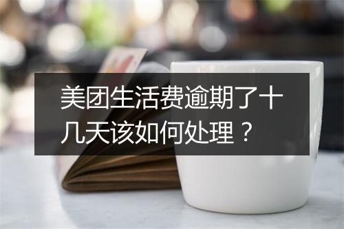 美团生活费逾期了十几天该如何处理？