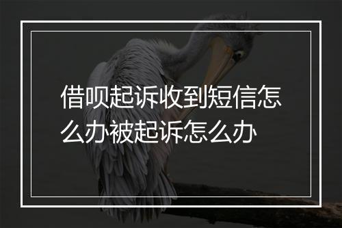 借呗起诉收到短信怎么办被起诉怎么办