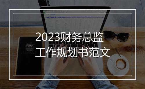 2023财务总监工作规划书范文