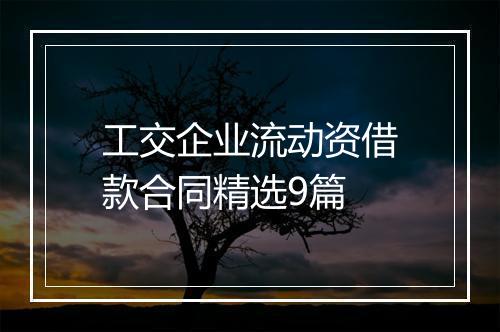 工交企业流动资借款合同精选9篇