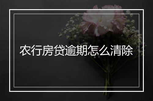 农行房贷逾期怎么清除