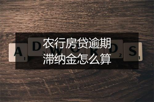 农行房贷逾期滞纳金怎么算