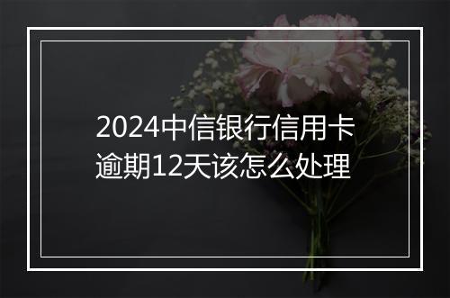 2024中信银行信用卡逾期12天该怎么处理