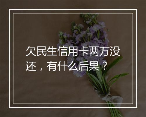欠民生信用卡两万没还，有什么后果？