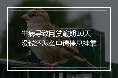 生病导致网贷逾期10天没钱还怎么申请停息挂靠