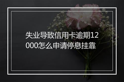 失业导致信用卡逾期12000怎么申请停息挂靠