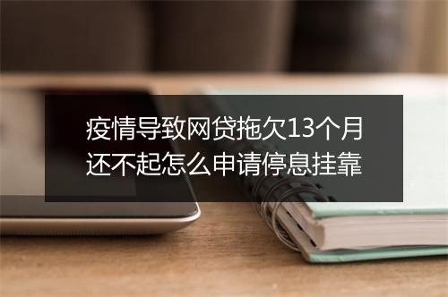 疫情导致网贷拖欠13个月还不起怎么申请停息挂靠