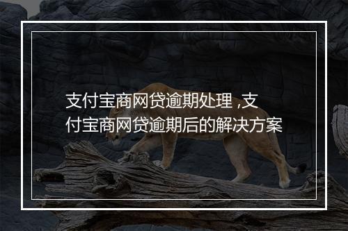 支付宝商网贷逾期处理 ,支付宝商网贷逾期后的解决方案