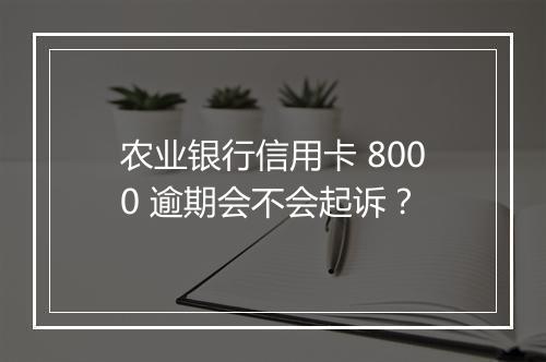 农业银行信用卡 8000 逾期会不会起诉？