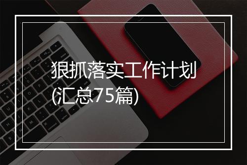 狠抓落实工作计划(汇总75篇)