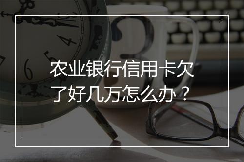 农业银行信用卡欠了好几万怎么办？