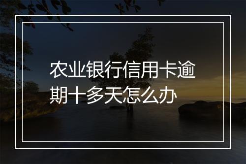 农业银行信用卡逾期十多天怎么办