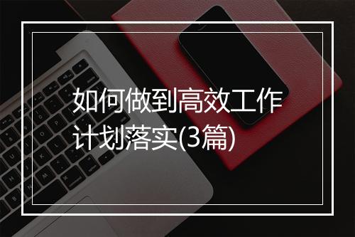 如何做到高效工作计划落实(3篇)