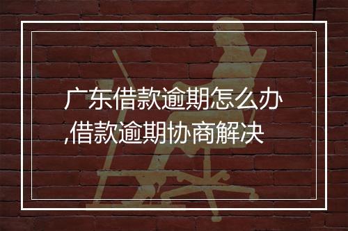 广东借款逾期怎么办,借款逾期协商解决