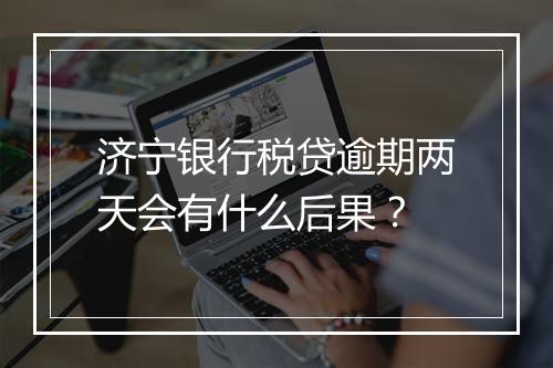 济宁银行税贷逾期两天会有什么后果？