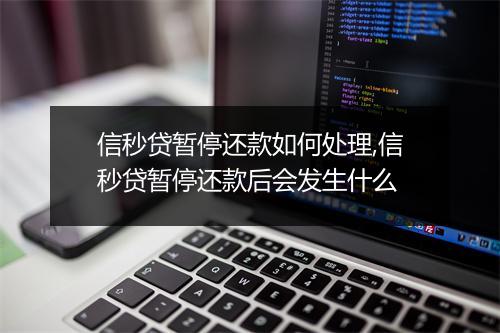 信秒贷暂停还款如何处理,信秒贷暂停还款后会发生什么