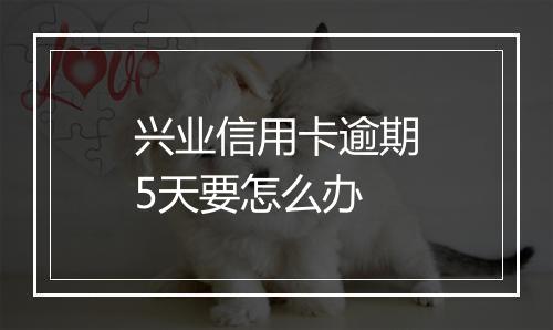 兴业信用卡逾期5天要怎么办