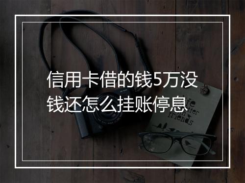 信用卡借的钱5万没钱还怎么挂账停息