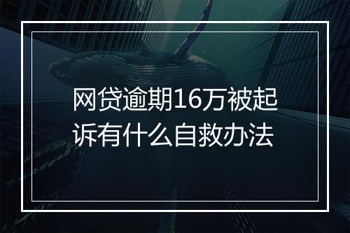 网贷逾期16万被起诉有什么自救办法