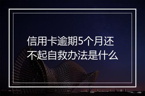 信用卡逾期5个月还不起自救办法是什么