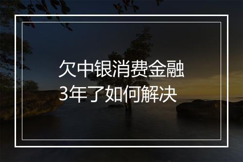 欠中银消费金融3年了如何解决