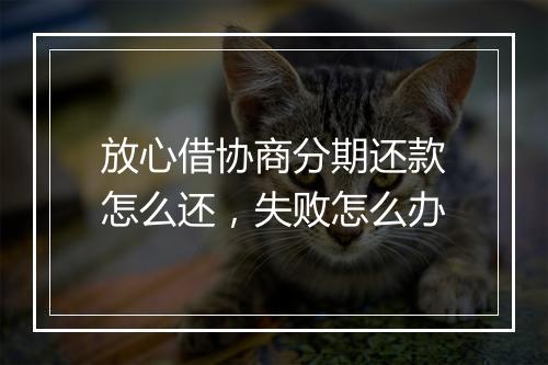 放心借协商分期还款怎么还，失败怎么办