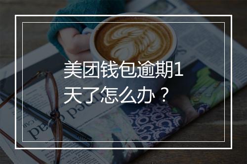 美团钱包逾期1天了怎么办？
