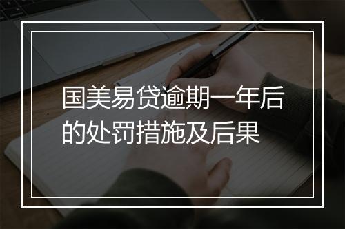 国美易贷逾期一年后的处罚措施及后果